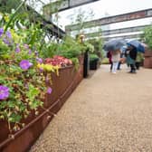 The new green space on Castlefield Viaduct Credit: National Trust 