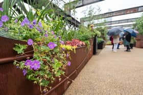 The new green space on Castlefield Viaduct Credit: National Trust 