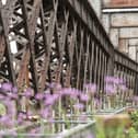 The National Trust have revealed plans to extend Castlefield Viaduct to Pomona Island.