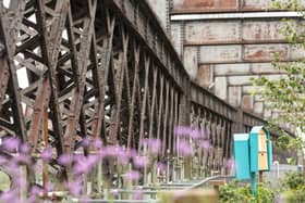 The National Trust have revealed plans to extend Castlefield Viaduct to Pomona Island.