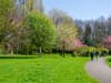 UK’s Favourite Park 2022: six Manchester green spaces nominated for prestigious award - how you can vote