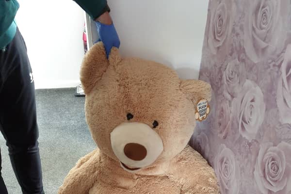 A wanted car thief  in Rochdale tried using a teddy bear to hide from cops Credit; GMP/swns