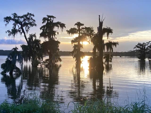 Swampland in Lafayette