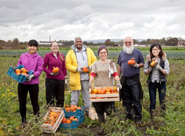 <p>The Kindling Trust works with communities to make food and growing more affordable and better for the planet</p>