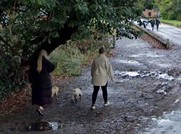 <p>Dog walkers in Wythenshawe park in Manchester Credit: Google</p>