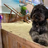 Alfie’s Island cafe