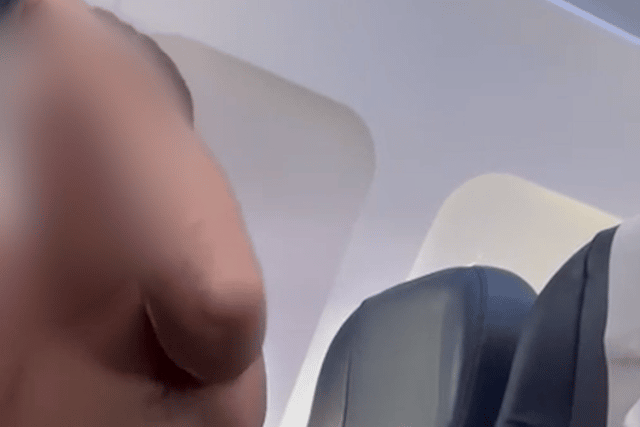 The passenger appears to be topless in part of the clip Credit: SWNS