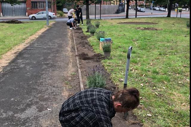 Ardwick Climate Action is trying to plant pollution-friendly plants to make the area greener