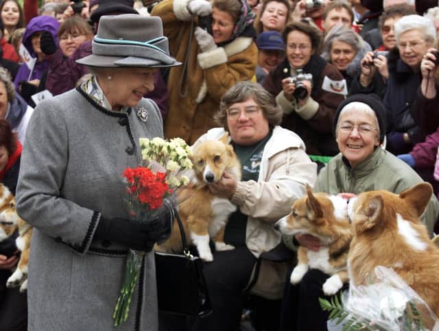 Prices of Corgi’s have soared following Queen Elizabeth’s death