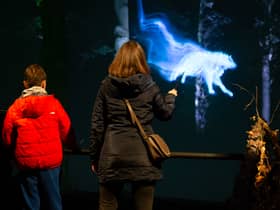 Guests can have a go a casting their own Patronus at the Harry Potter Forbidden Forest Experience in Cheshire this October. Credit: Harry Potter Forbidden Forest Experience