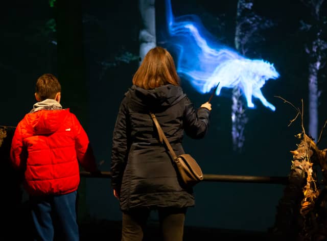 Guests can have a go a casting their own Patronus at the Harry Potter Forbidden Forest Experience in Cheshire this October. Credit: Harry Potter Forbidden Forest Experience
