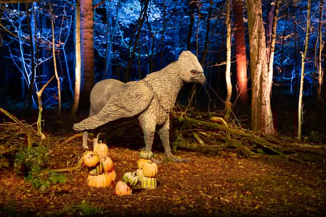Remember to bow before approaching Buckbeak the Hippogriff. Tickets for the Harry Potter Forbidden Forest Experience are available to book now. Credit: Harry Potter Forbidden Forest Experience