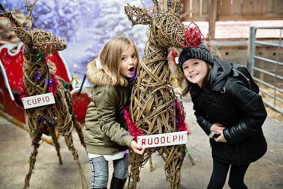 Enjoying Father Christmas at the Farm at Tatton Park Credit: Tatton Park