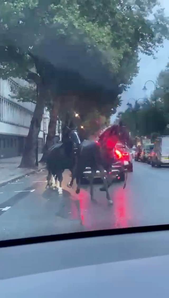 Screen grabs showing the bizarre moment three horses galloped through traffic - in the middle of London. 