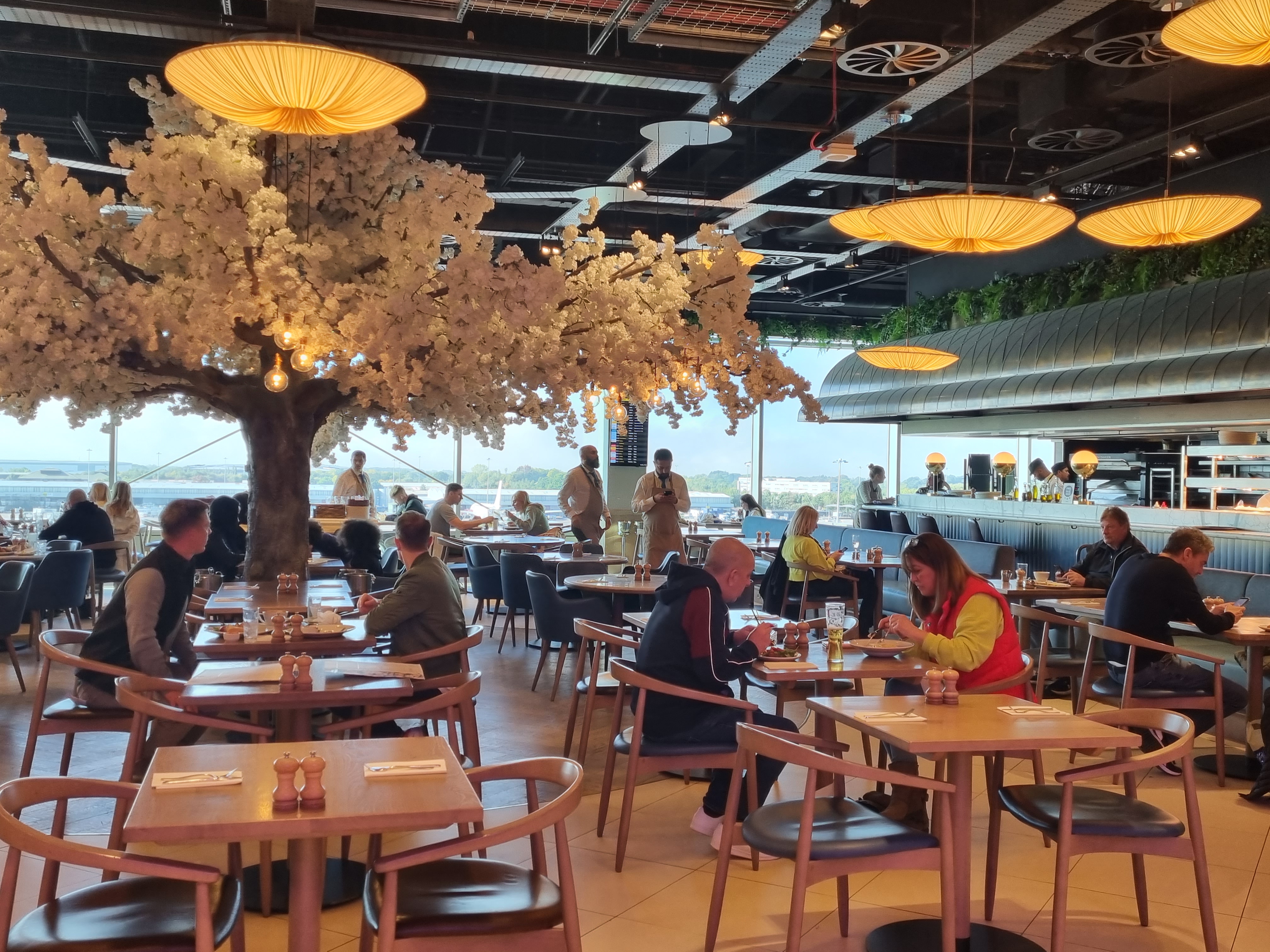 San carlos restaurant deals