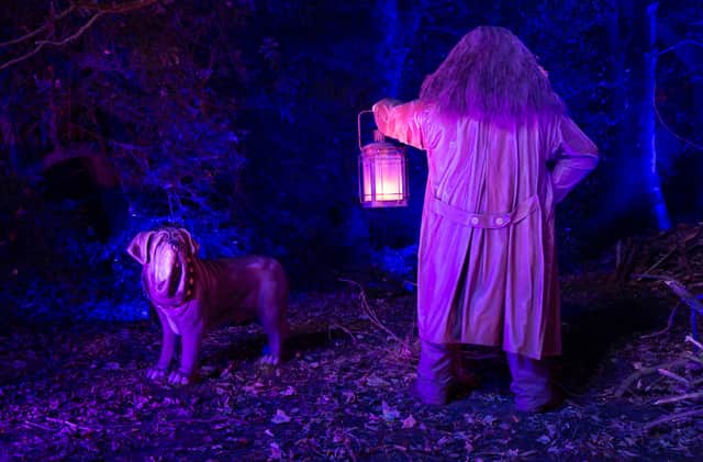 Harry Potter: A Forbidden Forest Experience. Photo: Fever UK 