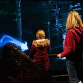 Harry Potter: A Forbidden Forest Experience 