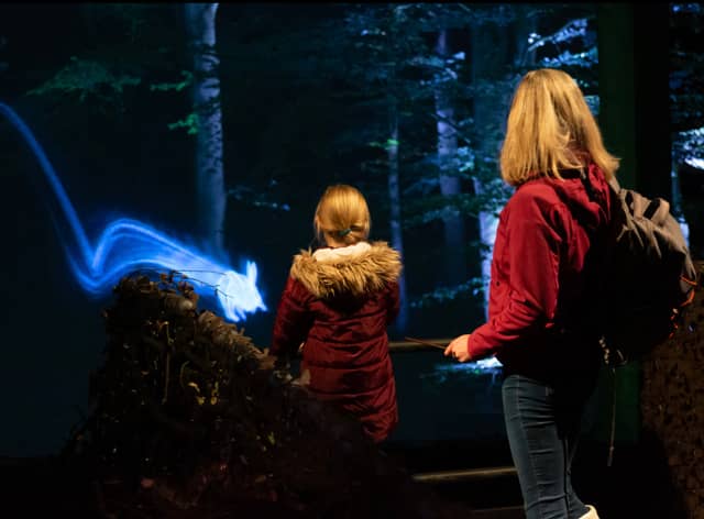 Harry Potter: A Forbidden Forest Experience 