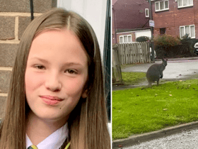 This is the bizarre moment schoolgirl Cia Christie spotted a wallaby hopping down a street in Gateshead