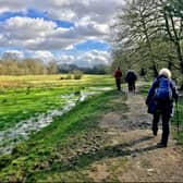 GM Walking Festival includes a leg of the GM Ringway this weekend 