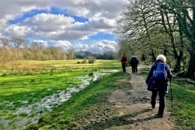 GM Walking Festival includes a leg of the GM Ringway this weekend 