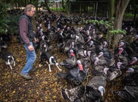 Childerhouse, who runs 35-acre Whews Farm in Norfolk, had to cull his 10,000-strong flock of turkeys earlier this autumn. 
