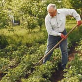 Data has shown how most boroughs in Greater Manchester are home to more over-65s than previously. Photo: AdobeStock