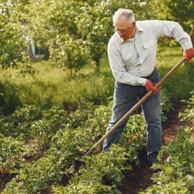 Data has shown how most boroughs in Greater Manchester are home to more over-65s than previously. Photo: AdobeStock