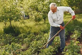 Data has shown how most boroughs in Greater Manchester are home to more over-65s than previously. Photo: AdobeStock