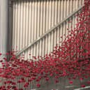 Iconic poppies at the Imperial War Museum 