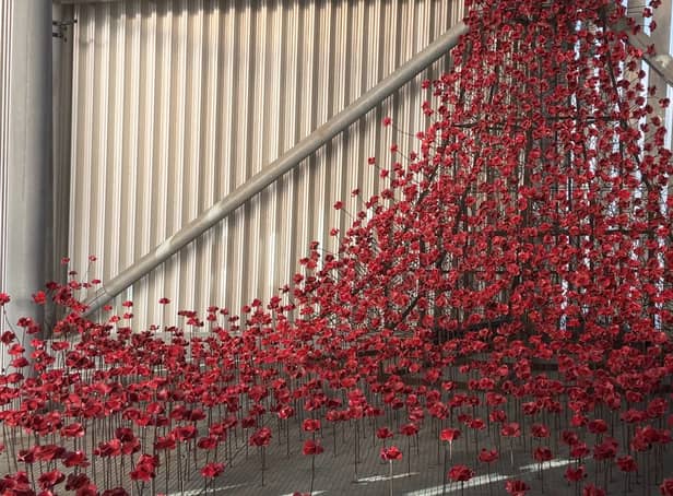 <p>Iconic poppies at the Imperial War Museum </p>