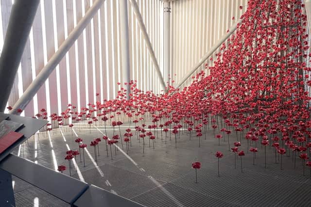 Iconic poppies at the Imperial War Museum 