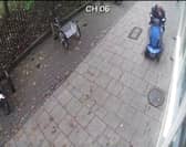 Screen Grab from footage of a pigeon crushed by a man in a scooter.