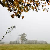 Horses graze in a field on a foggy day near Carrington, near Manchester