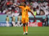 Man Utd face ‘fresh rival’ in Cody Gakpo race as transfer ‘battle’ over World Cup star begins