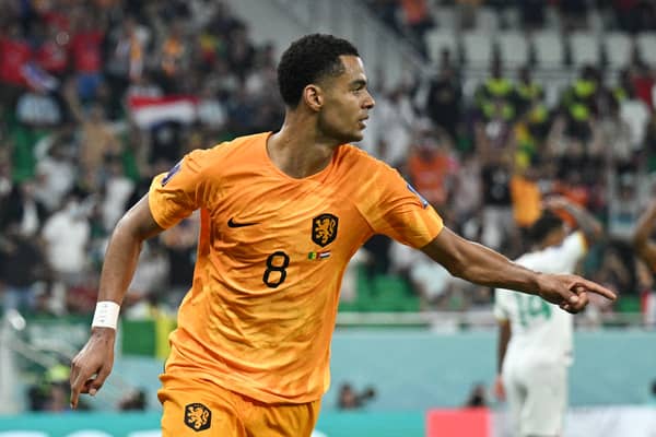 Cody Gakpo stars for Netherlands at World Cup 2022