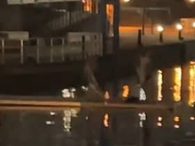 The swimmers at Salford quays