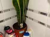A mum has found a genius hack to permanently rid her bathroom of mould -