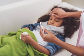 Flu levels are high at Manchester hospitals Credit: georgerudy - stock.adobe.com/ posed by model