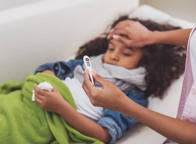 Flu levels are high at Manchester hospitals Credit: georgerudy - stock.adobe.com/ posed by model