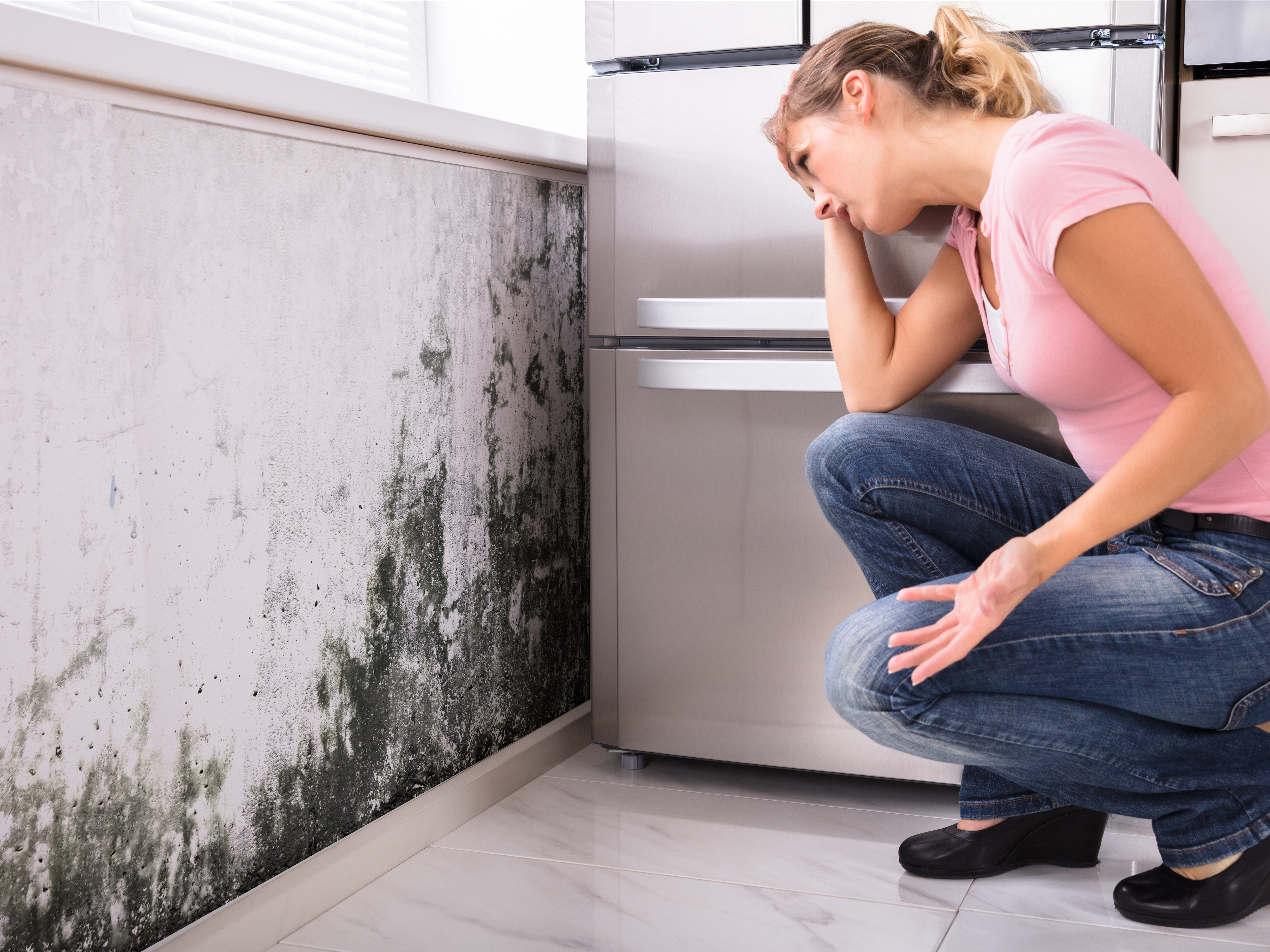 More social housing tenants seeking help over cold, damp and mouldy homes, Manchester law firm says