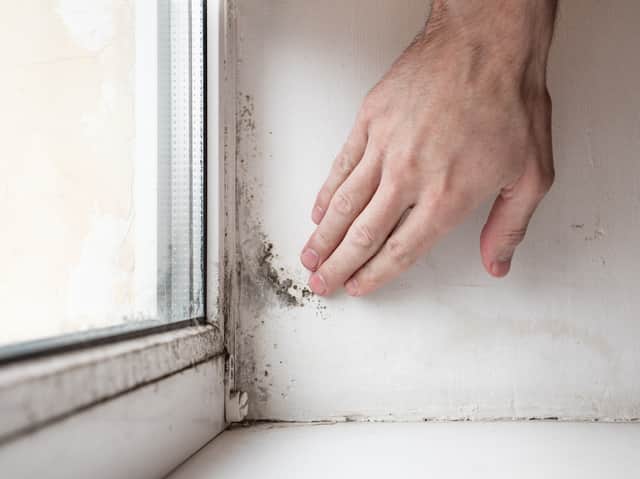 Tenants are resorting to legal action over issues such as mould in their social homes. Photo: AdobeStock