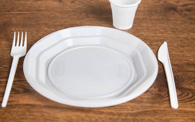 Many plastic items will be banned from the end of this year 