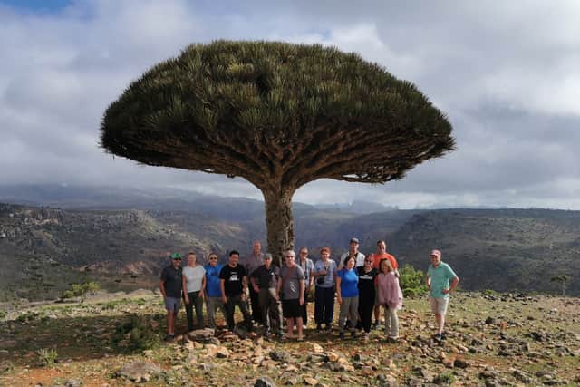 A Lupine Travel tour group in Socotra, an island between Somalia and Yemen. Credit: Lupine Travel