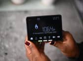 Energy regulator Ofgem has advised energy companies to suspend forced prepayment meter installations.