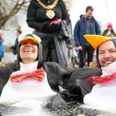 Councillors Eve Holt and Mathew Benham took the plunge dressed, appropriately enough, as penguins. Photo: Dylan O’Brien