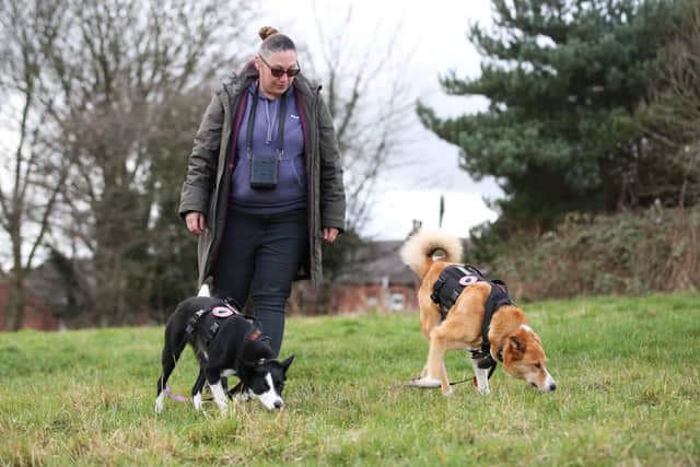 Jennie Alton (42) from Wigan and her dogs Credit: William Lailey / SWNS