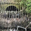 A combined sewer overflow discharging into the River Tame in Greater Manchester with its grill full of wet wipes and sanitary products . Photo: Jamie Woodward