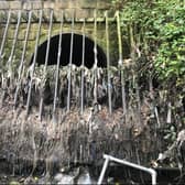 A combined sewer overflow discharging into the River Tame in Greater Manchester with its grill full of wet wipes and sanitary products . Photo: Jamie Woodward