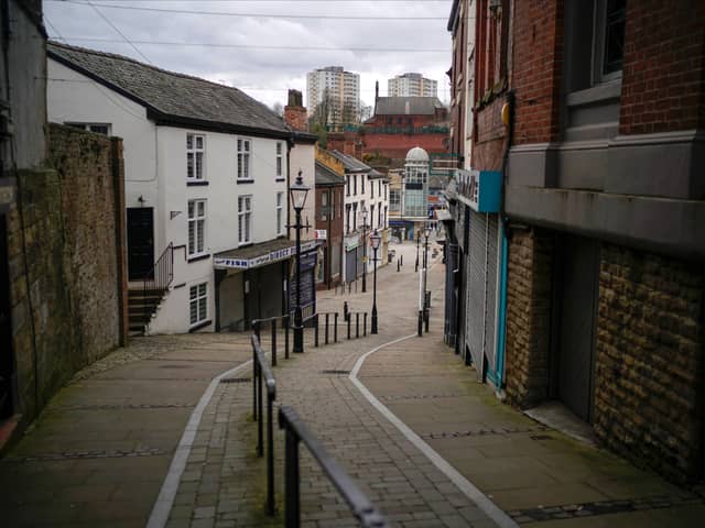 Stockport has the highest level of tree canopy cover among the 10 Greater Manchester boroughs. Photo: Getty Images